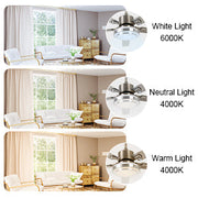 Silver Ceiling Fan with Light 52'' Modern fan with Remote CF-5208