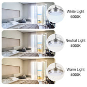 Silver Ceiling Fan with Light 42'' Fan with Remote Control CF-4201