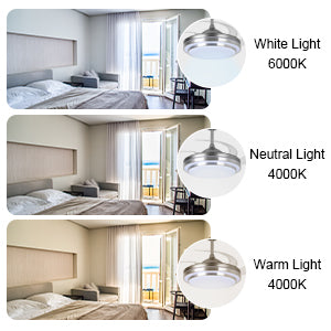 Silver Ceiling Fan with Light 42'' Fan with Remote Control CF-4201
