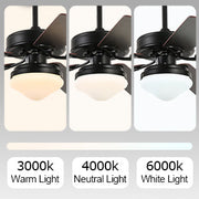 Black Ceiling Fan with Light 52'' Modern fan with Remote CF-5209
