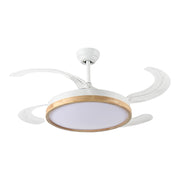 Windora Brielle 42" Wood Accent DC Ceiling Fan w/ 3CCT LED Remote Control - image 4