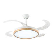 Windora Brielle 42" Wood Accent DC Ceiling Fan w/ 3CCT LED Remote Control - image 3