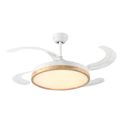 Windora Brielle 42" Wood Accent DC Ceiling Fan w/ 3CCT LED Remote Control