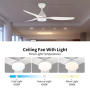Windora Arin 52" DC Ceiling Fan with 3CCT LED Dimmable Light - image 5