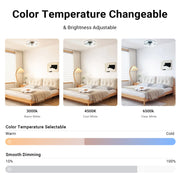 Flush Mount Ceiling Fan 50cm Crystal Light APP Remote Black CF-FMW