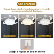 Windora Liora 42" White Weave DC Ceiling Fan w/ 3CCT LED Remote Control - image 6