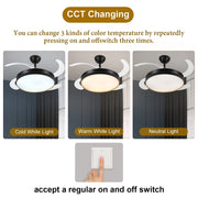 Windora Orien 42" Black Trim DC Ceiling Fan w/ 3CCT LED Remote Control - image 6