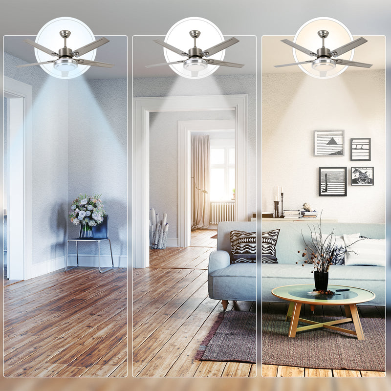 Silver Ceiling Fan with Light 52'' Modern fan with Remote CF-5208