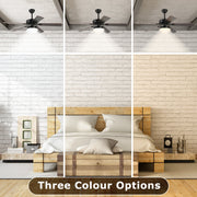 Black Ceiling Fan with Light 52'' Modern fan with Remote CF-5209