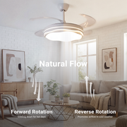 42" Retractable Ceiling Fan with Light & Remote Smart Modern Design CF-4204