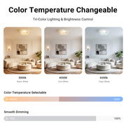 52cm Cream Cloud Petal LED Ceiling Light Modern Minimalist Chandelier CL-CFL52