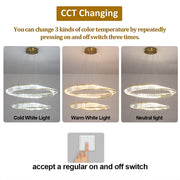 Vela Twin Ring Crystal Chandelier – Gold Finish - image 4