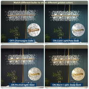 Modern Firework Chandelier 12 Lights 3 Colors Dandelion Pendant CL-FWS