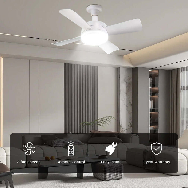 Quiet Socket Fan with Light Ceiling 3 Speed LED Light Remote CF-SFL4