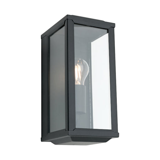 Cougar Lighting Anglesea 1LT Exterior - Black - ANGL1EBLK