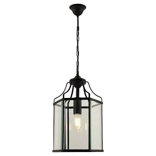 Cougar Lighting Arcadia 1LT Pendant - Black - ARCA1PBLK
