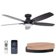Ceiling Fan with Light 52" DC Motor 5 Wood Blades Black CF-52JYFB