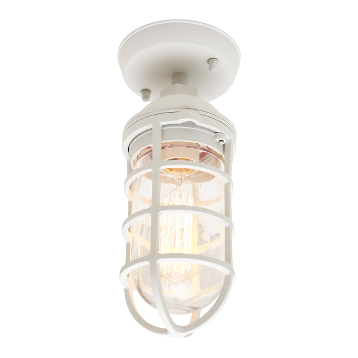 Cougar Lighting Newport Exterior Under Eave - White