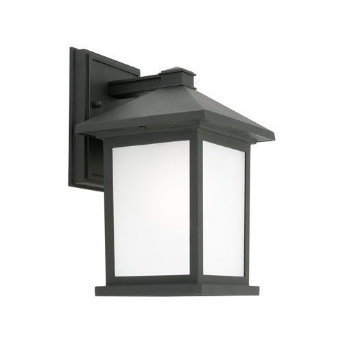 Cougar Lighting Plymouth 1LT Exterior - Black